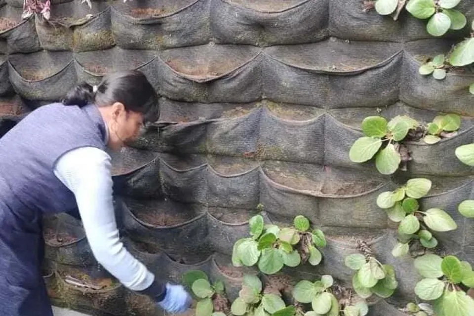 Agencia logística Fuerzas armadas