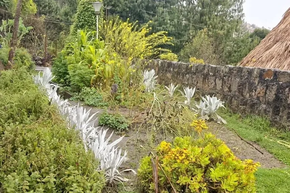 Casa de Paz shinawindua