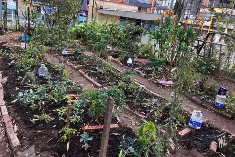 Huerta Alison Rescatando Raíces