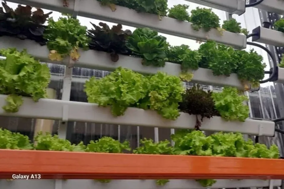 Huerta CEI Altos del Cabo fondacio