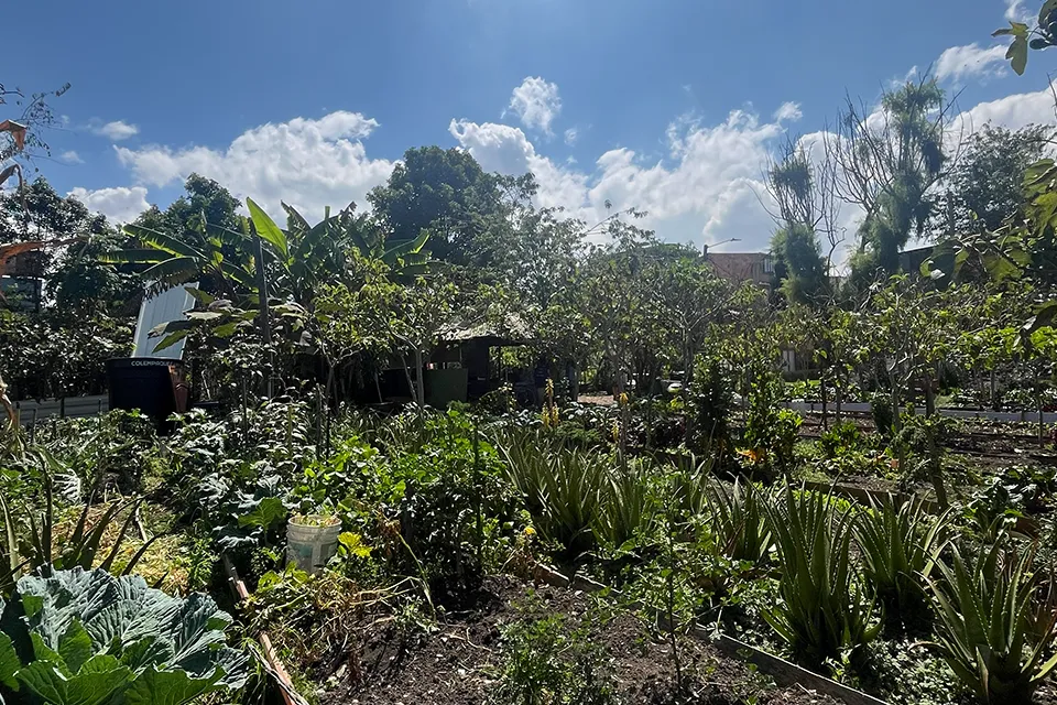 Huerta Guerreras y Guerreros unidos en acción