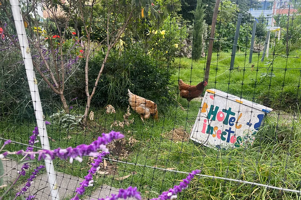 Huerta los Copetones