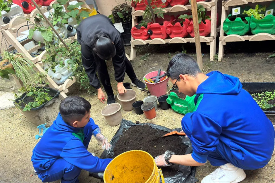 Huerta Manos que Cultivan