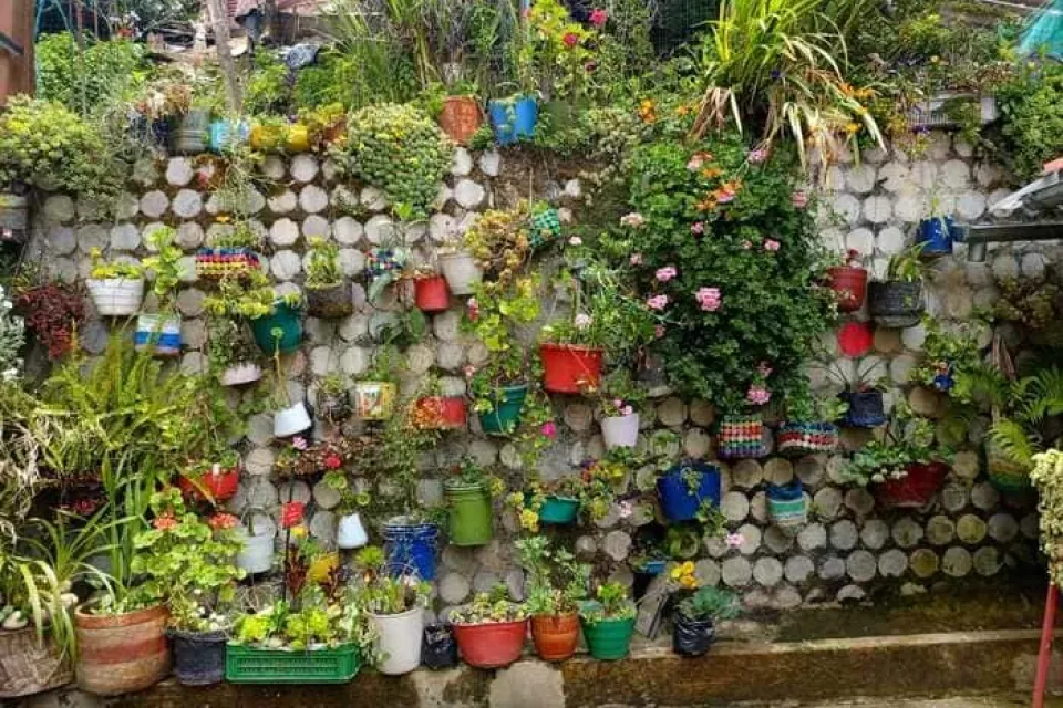 Huerta maya tejedores de la tierra