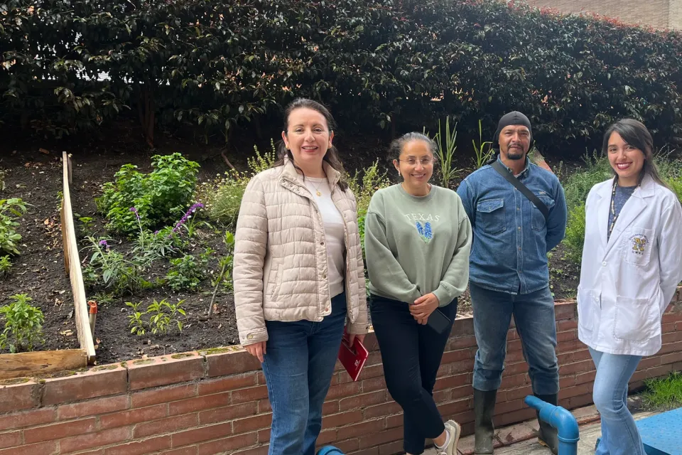 Huerta Urbana UMNG/Bogotá