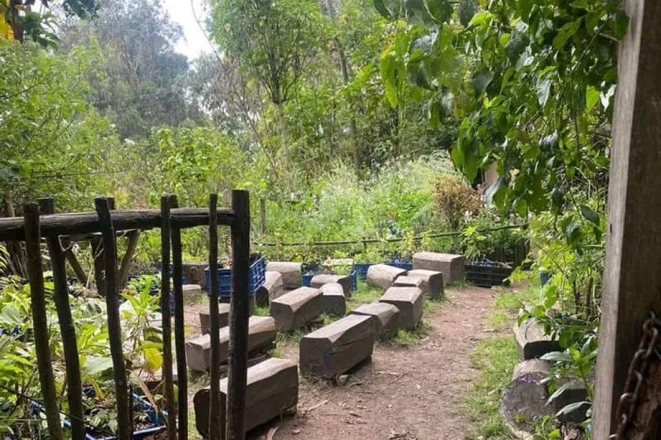 Lupita de los cerros