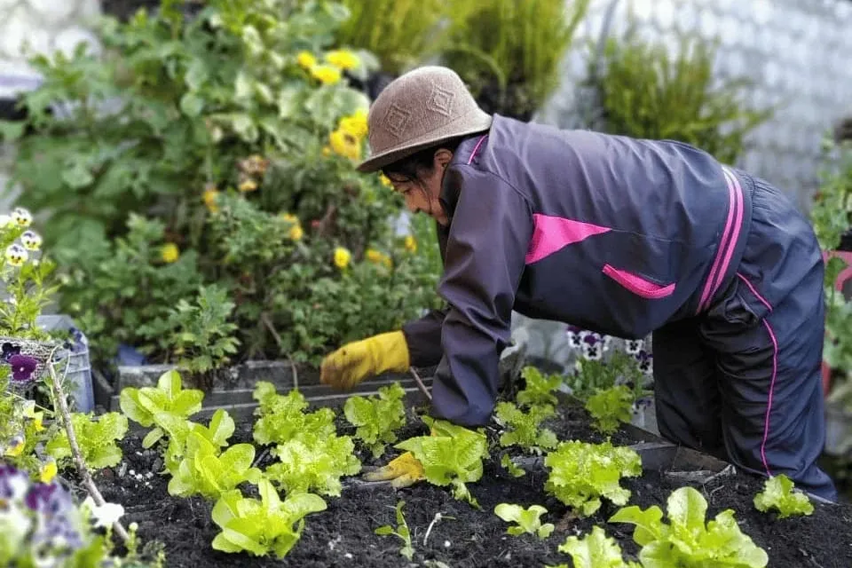 25 de noviembre: raíces de valentía y flores de resistencia