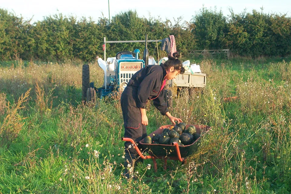 Año nuevo, huerta nueva