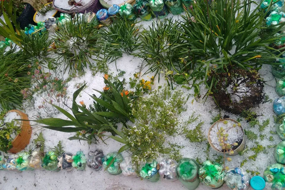 Granizo y esperanza: la fuerza de una huerta urbana