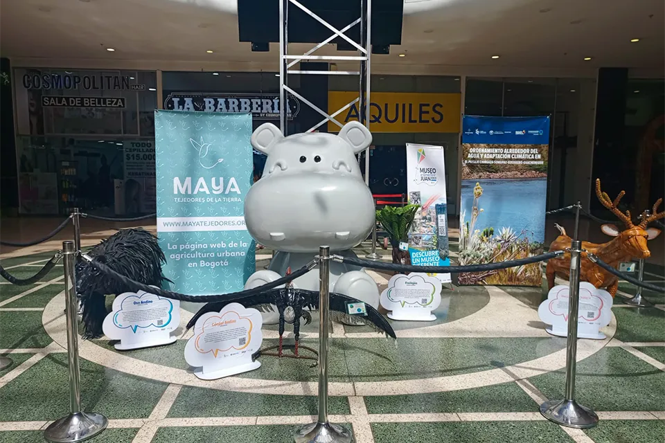 Tejiendo sostenibilidad desde la ciudad: experiencias de agricultura agroecológica en Bogotá